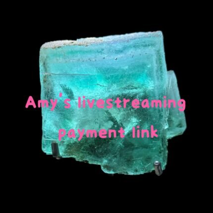 Amy's Livestreaming Payment Link